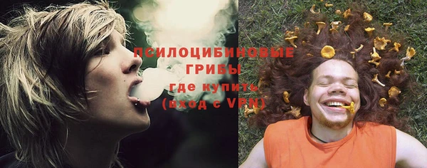 прущая мука Наволоки