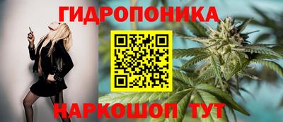 стафф Азнакаево