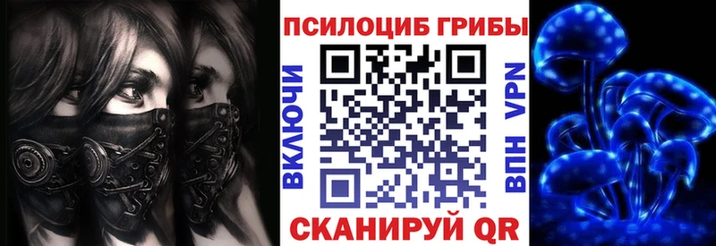 купить наркоту  Павлово  Псилоцибиновые грибы Psilocybe 
