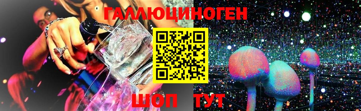 Павлово  Псилоцибиновые грибы ЛСД  Вход с VPN 